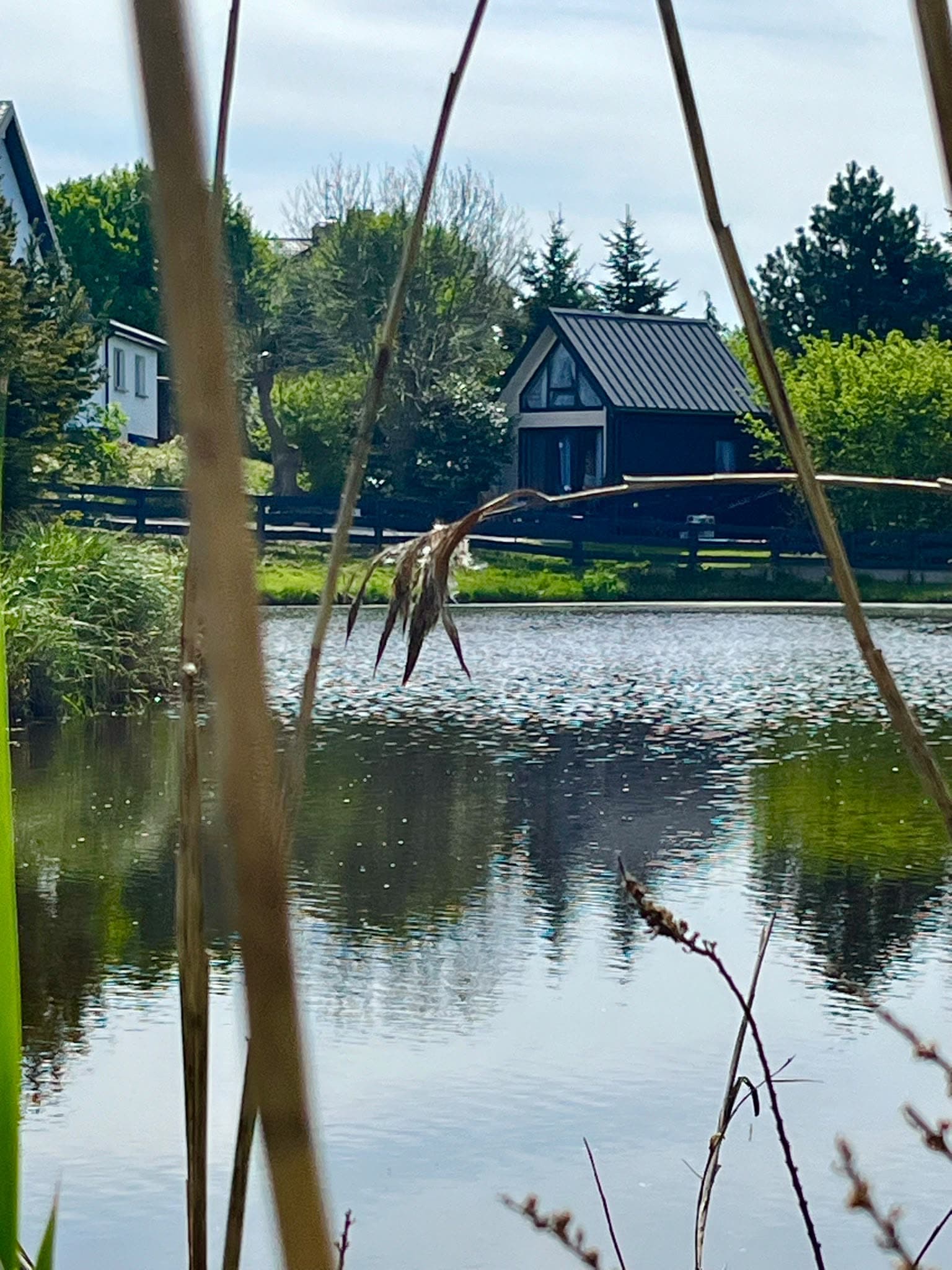 Domek nad stawem