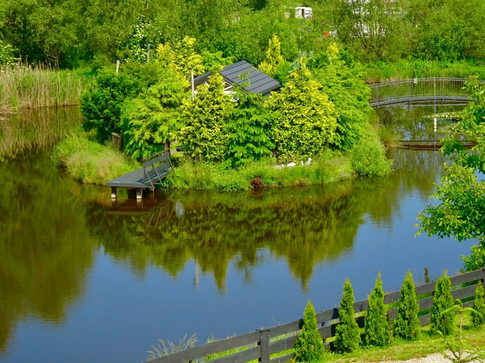 Staw w ogrodzie